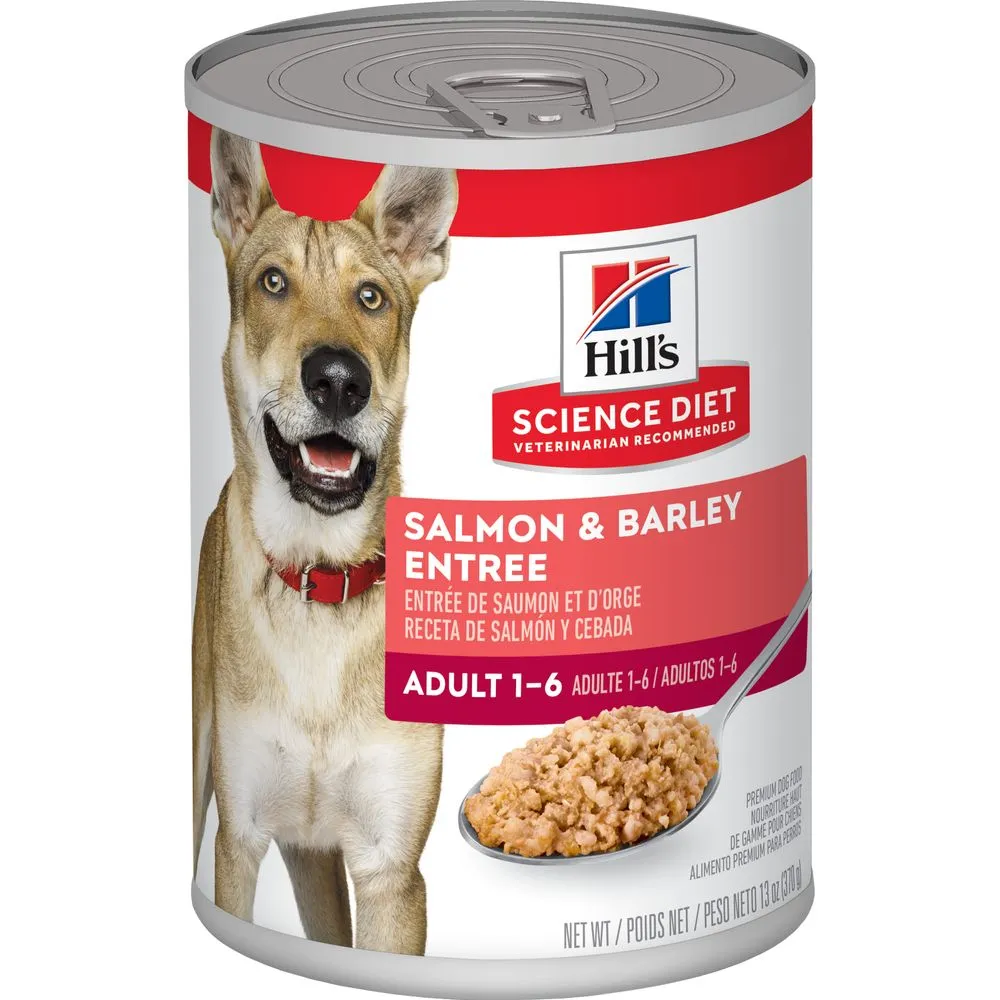 Adult Dog Food