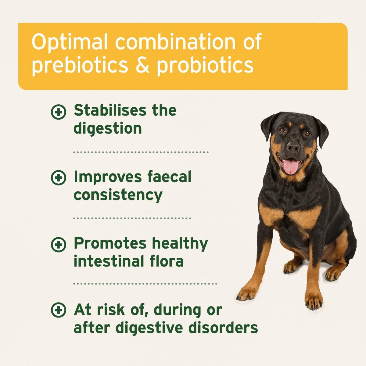 Aniforte® plus Probiotic Tabs