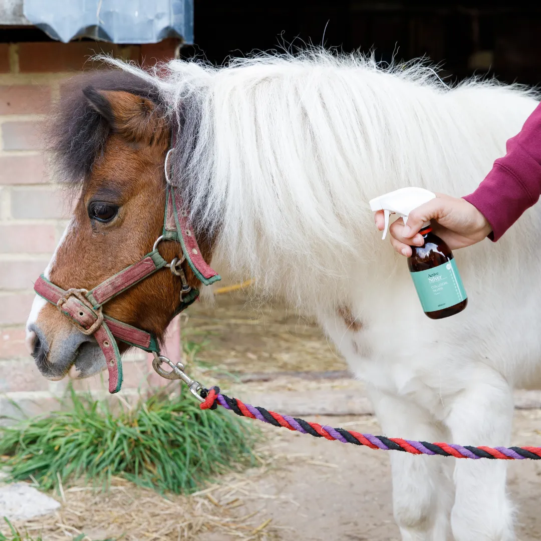 Animal Care Colloidal Silver