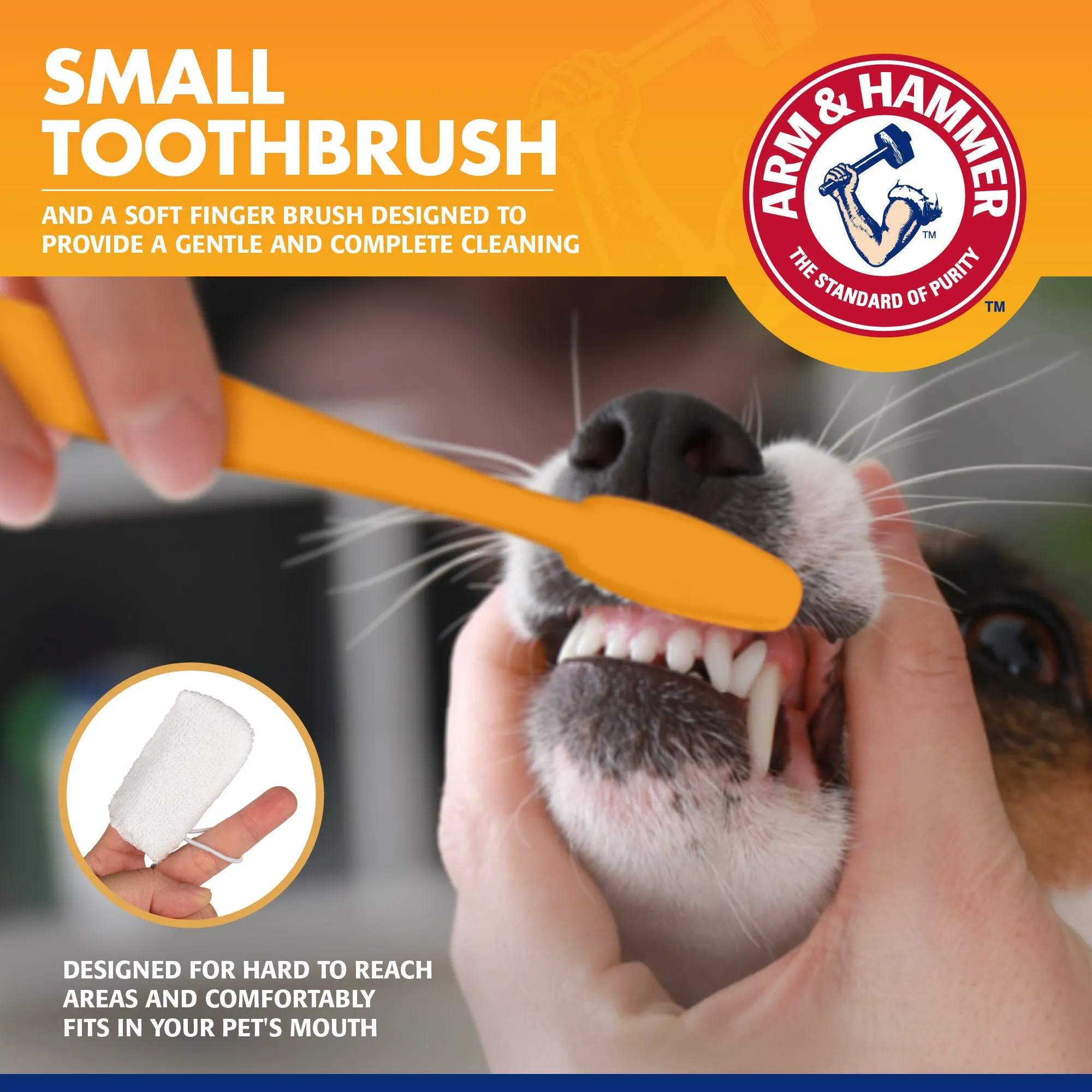 Arm and Hammer Tartar Control Dental Training Kit for Puppies Vanilla Ginger