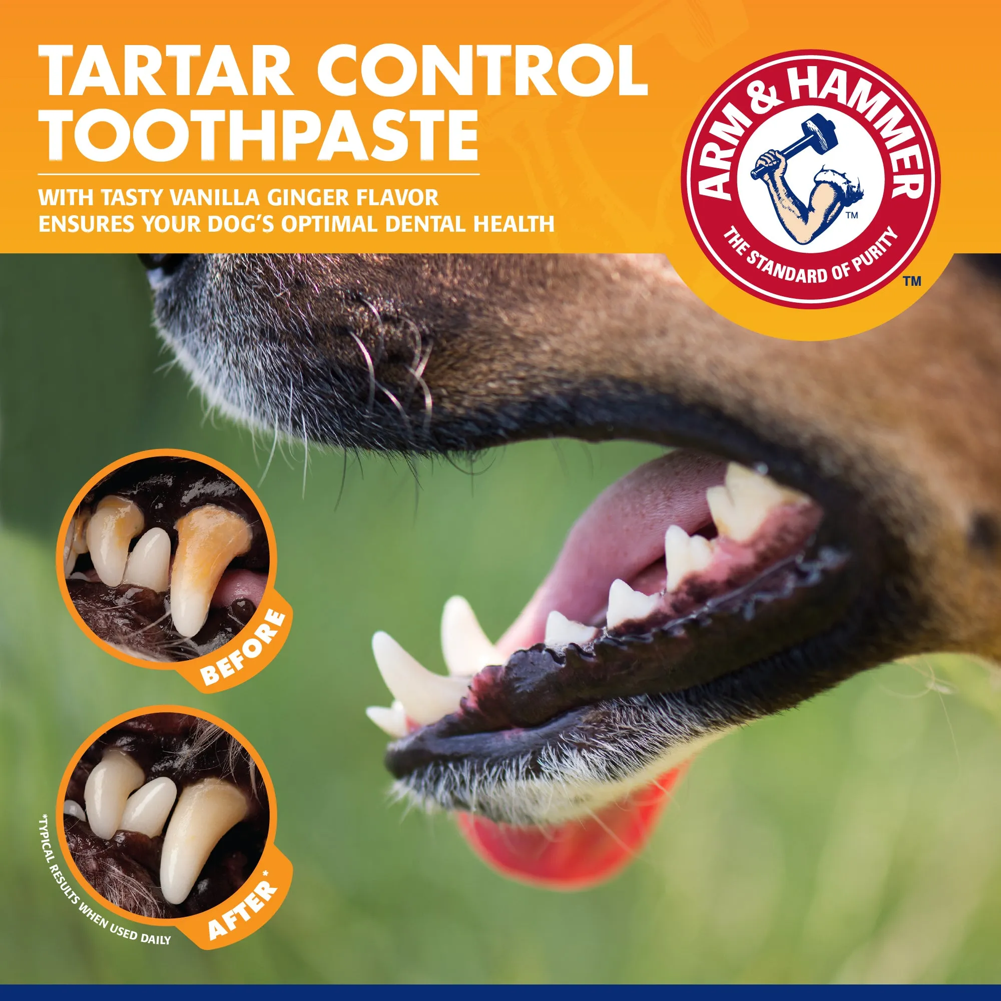 Arm and Hammer Tartar Control Dental Training Kit for Puppies Vanilla Ginger