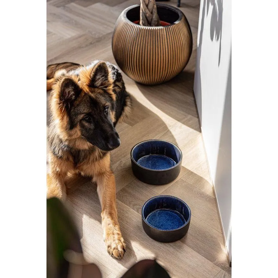 AVA Bowls | Ceramic Dog Bowl - Manta