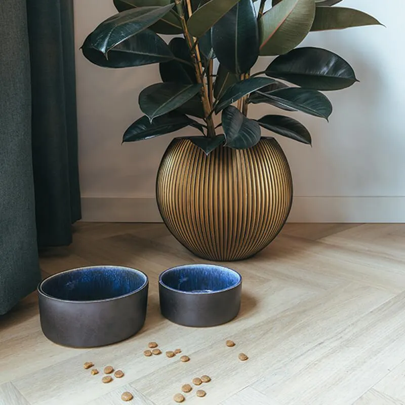 AVA Bowls | Ceramic Dog Bowl - Manta