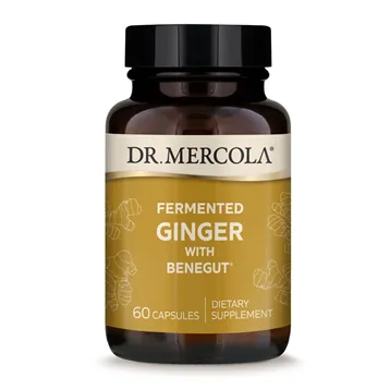 Dr. Mercola Fermented Ginger