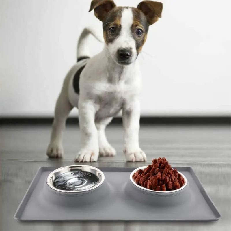 Goofy Tails Rectangle Silicone Double Dinner with Stainless Steel Food Bowl For Dogs (Grey)