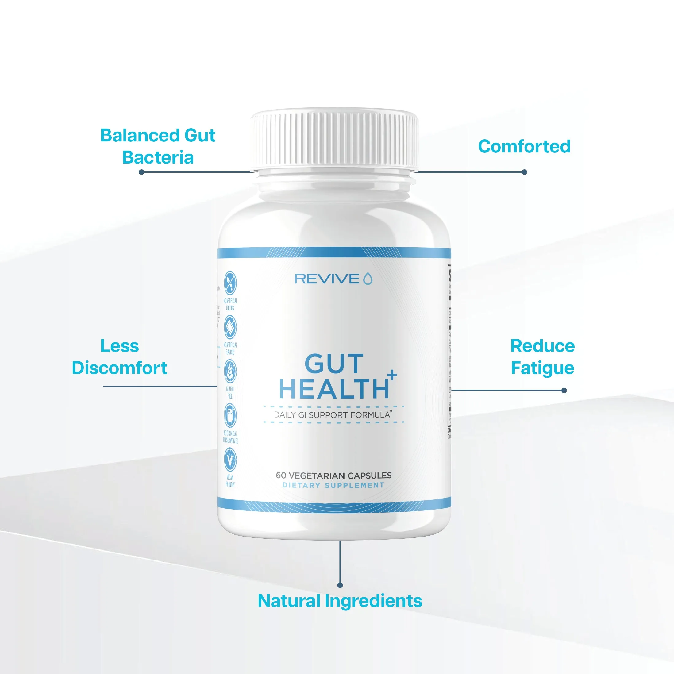 Gut Health 