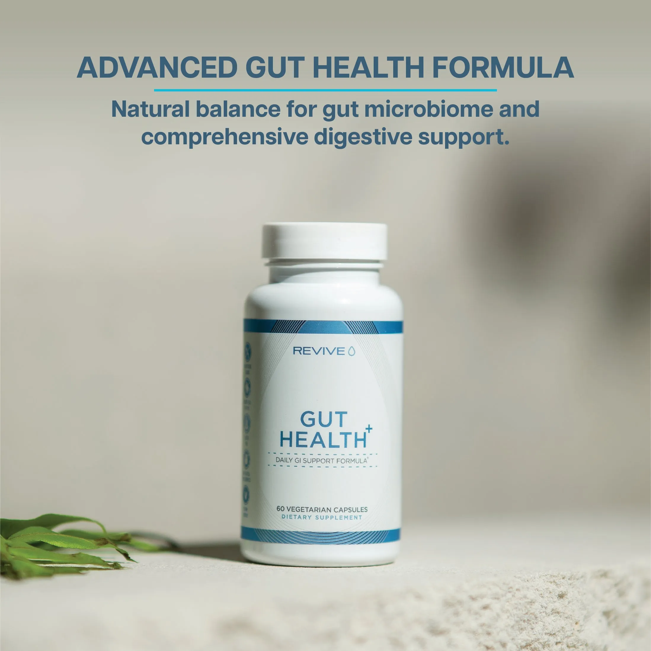 Gut Health 