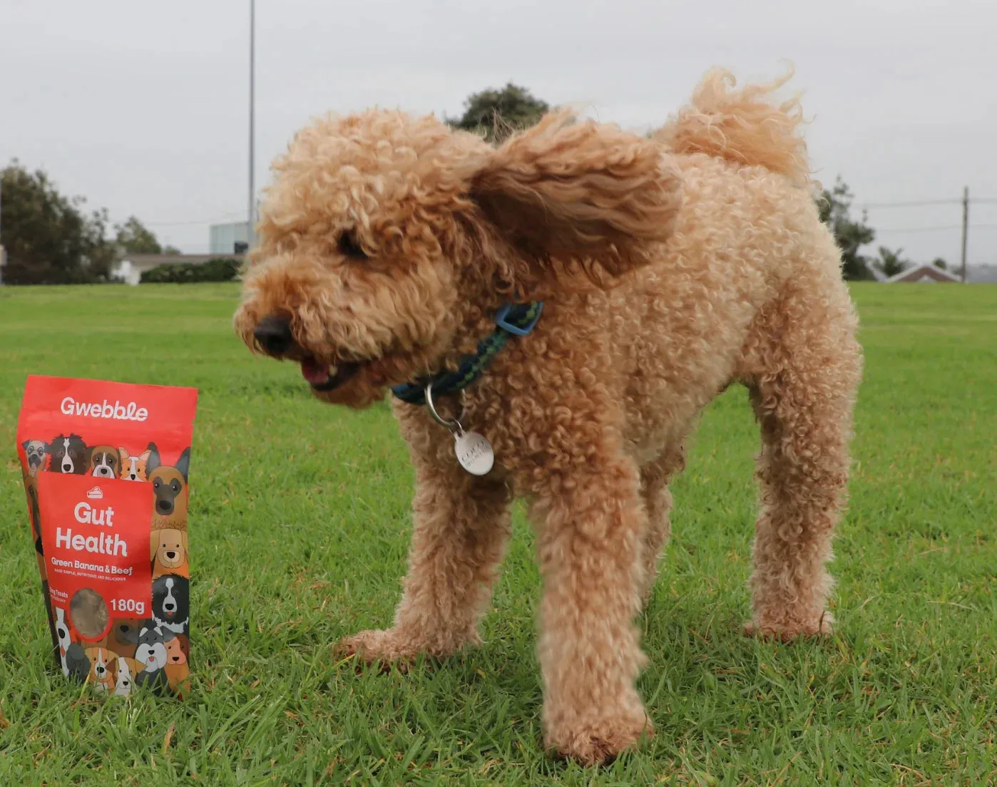 Gwebble Dog Treats Gut Health Beef & Green Banana 140g