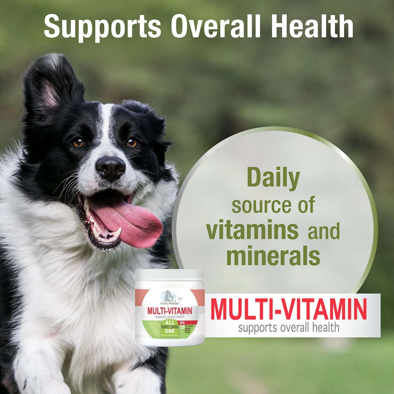 Healthy Promise Dog Multivitamin Soft Chews, Savory Chicken, 120 ct