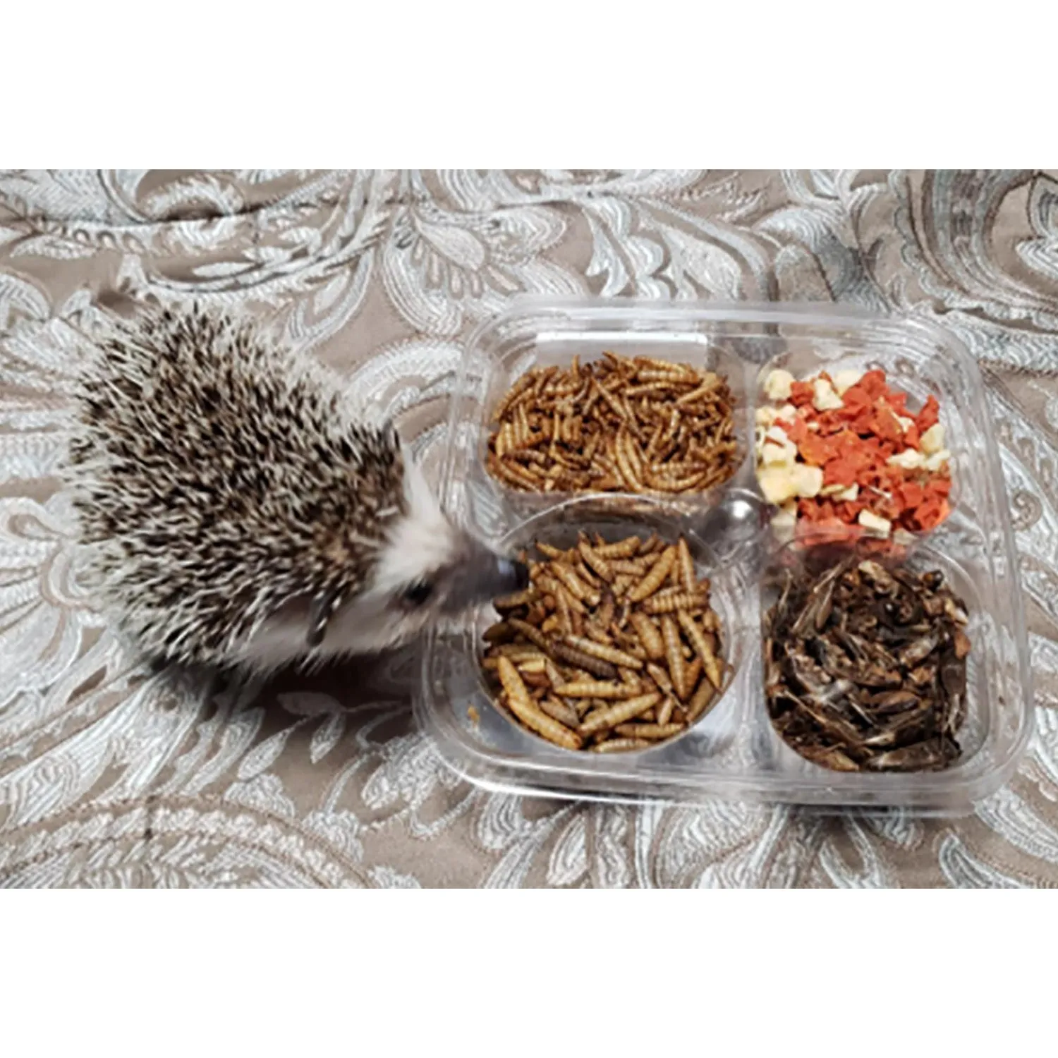 Hedgehog Treat Variety Pack