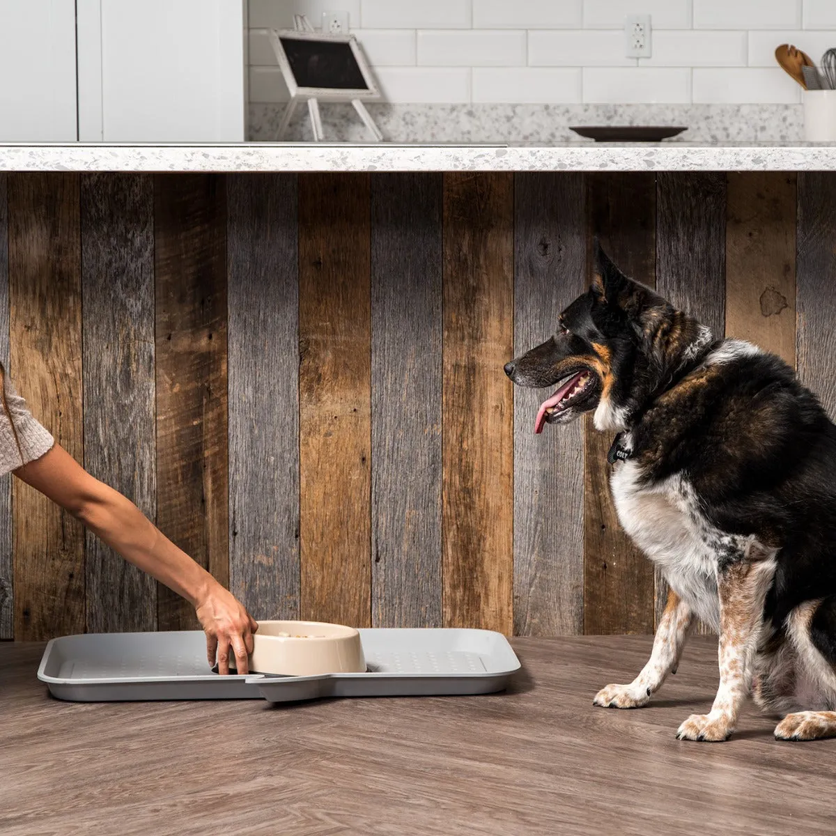 Large "WOOF" Feeding Mat for Dog or Cat, Light Gray