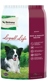 Loyall Life Adult Beef and Barley Dry Dog Food