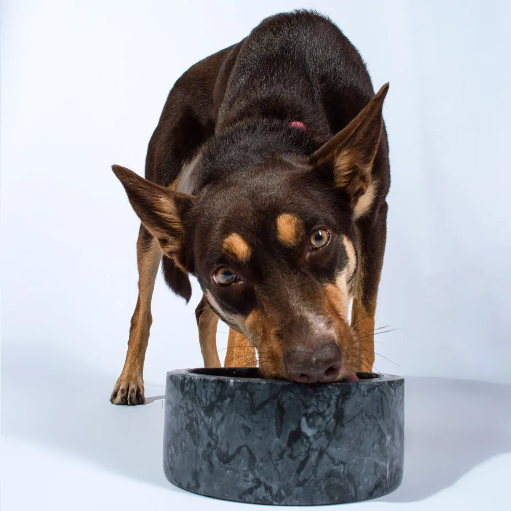 Marble Dog Bowl - Black