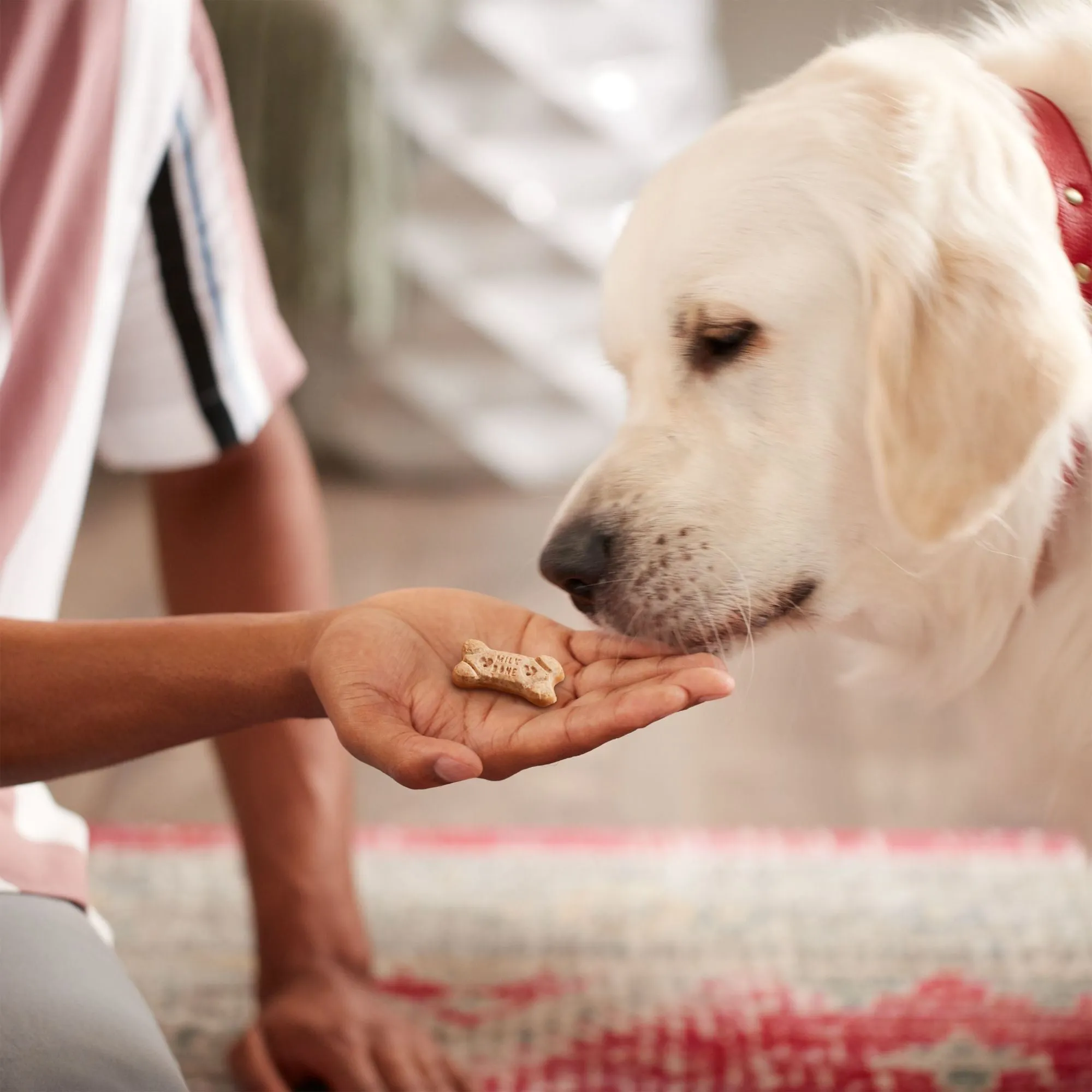 Milk-Bone Dipped Dog Biscuits Baked With Real Peanut Butter, 12 oz