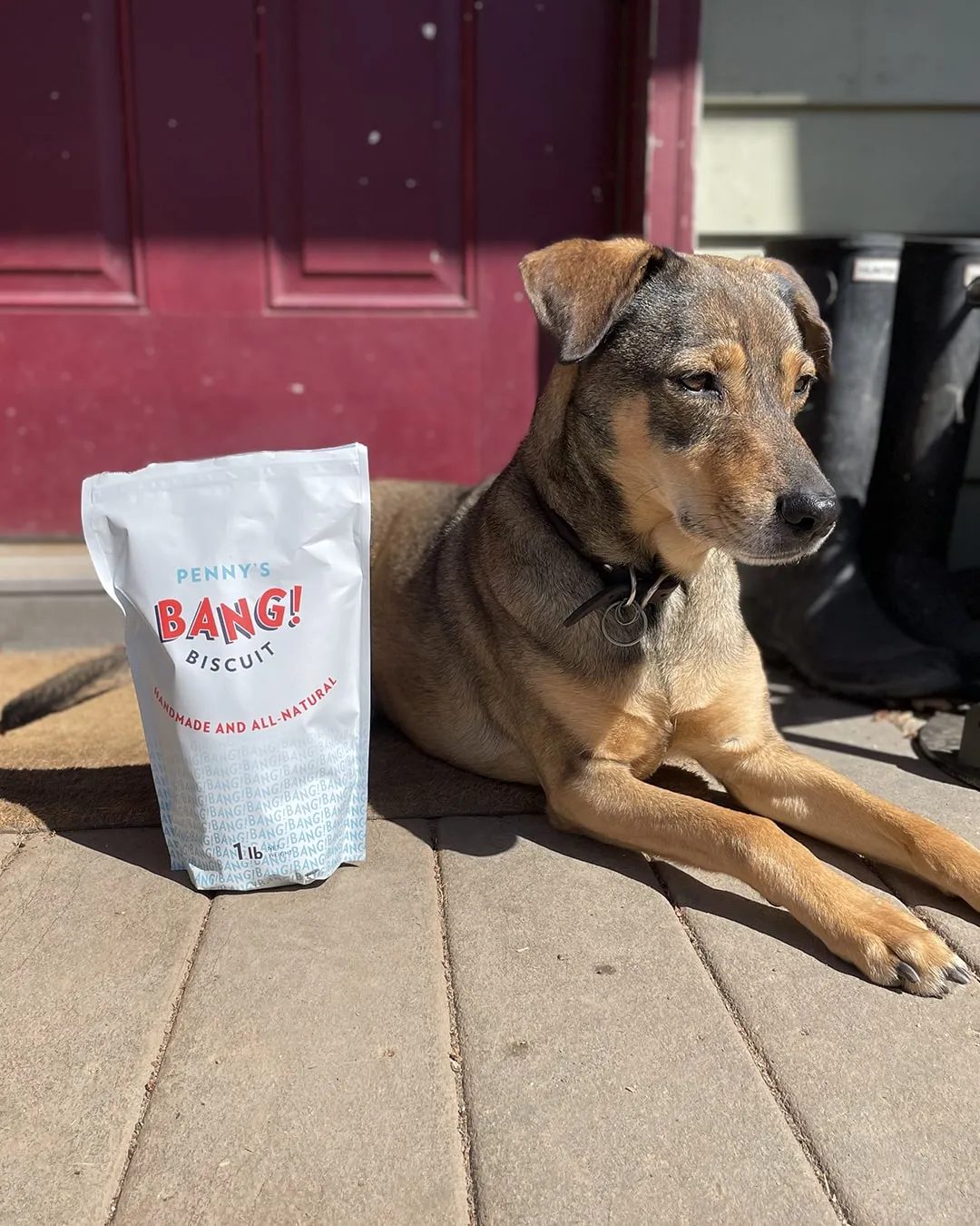 High-Quality Bang Biscuits for Medium to Large Dogs by Pennys