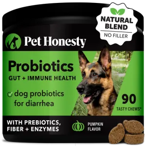 Pet Honesty Probiotics Gut   Immune Health Pumpkin Flavor for Dogs