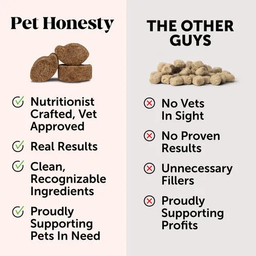 Pet Honesty Probiotics Gut   Immune Health Pumpkin Flavor for Dogs