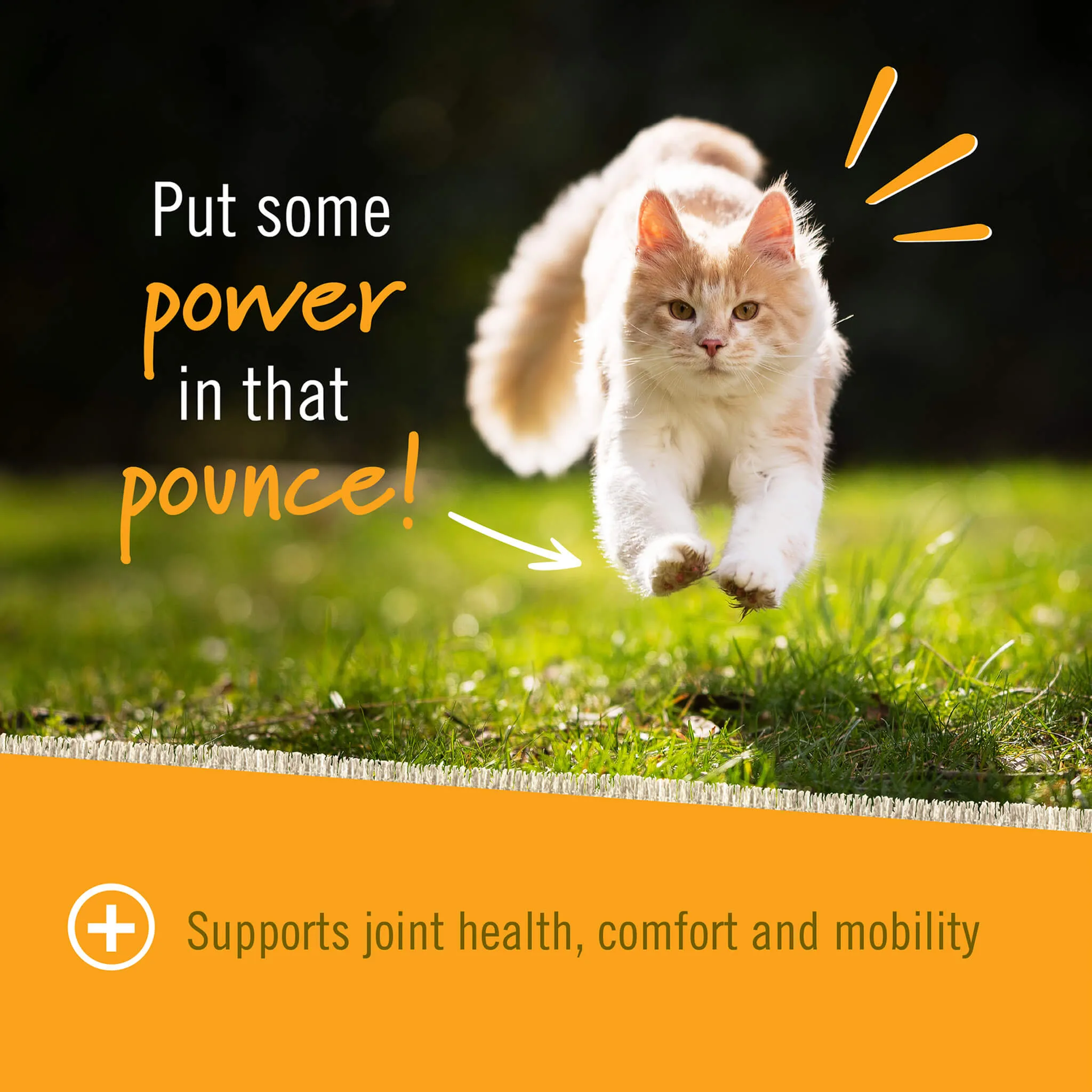 Pet Naturals Hip and Joint Soft Chews for Cats