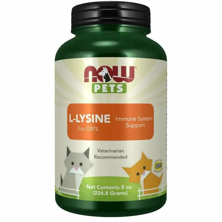 Pets L-Lysine Powder (Cats) 8 oz By Now