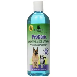 PPP Procare Dental Solution 16oz