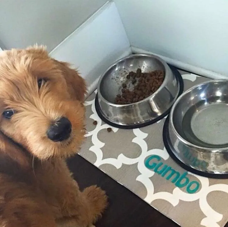 Quatrefoil Dog Bowl Placemats with Personalization