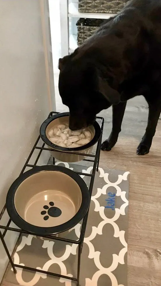 Quatrefoil Dog Bowl Placemats with Personalization