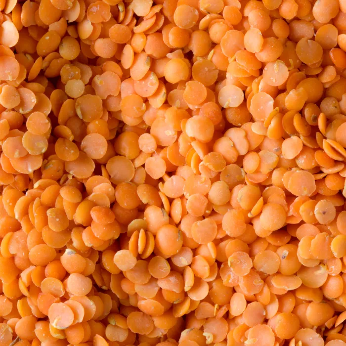 Red Split Lentils Organic