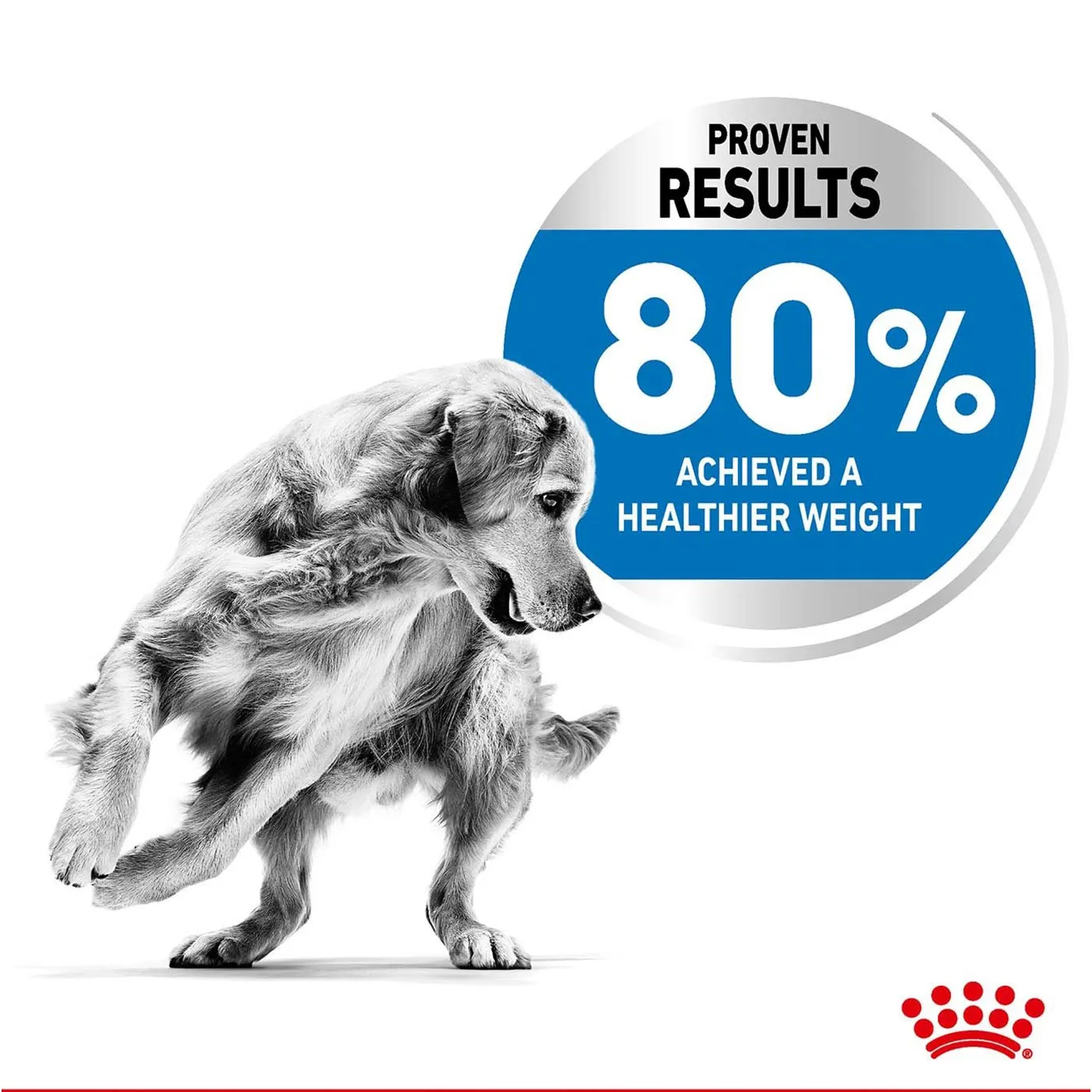 Royal Canin Medium Adult Light Weight Care Dog Food 10KG