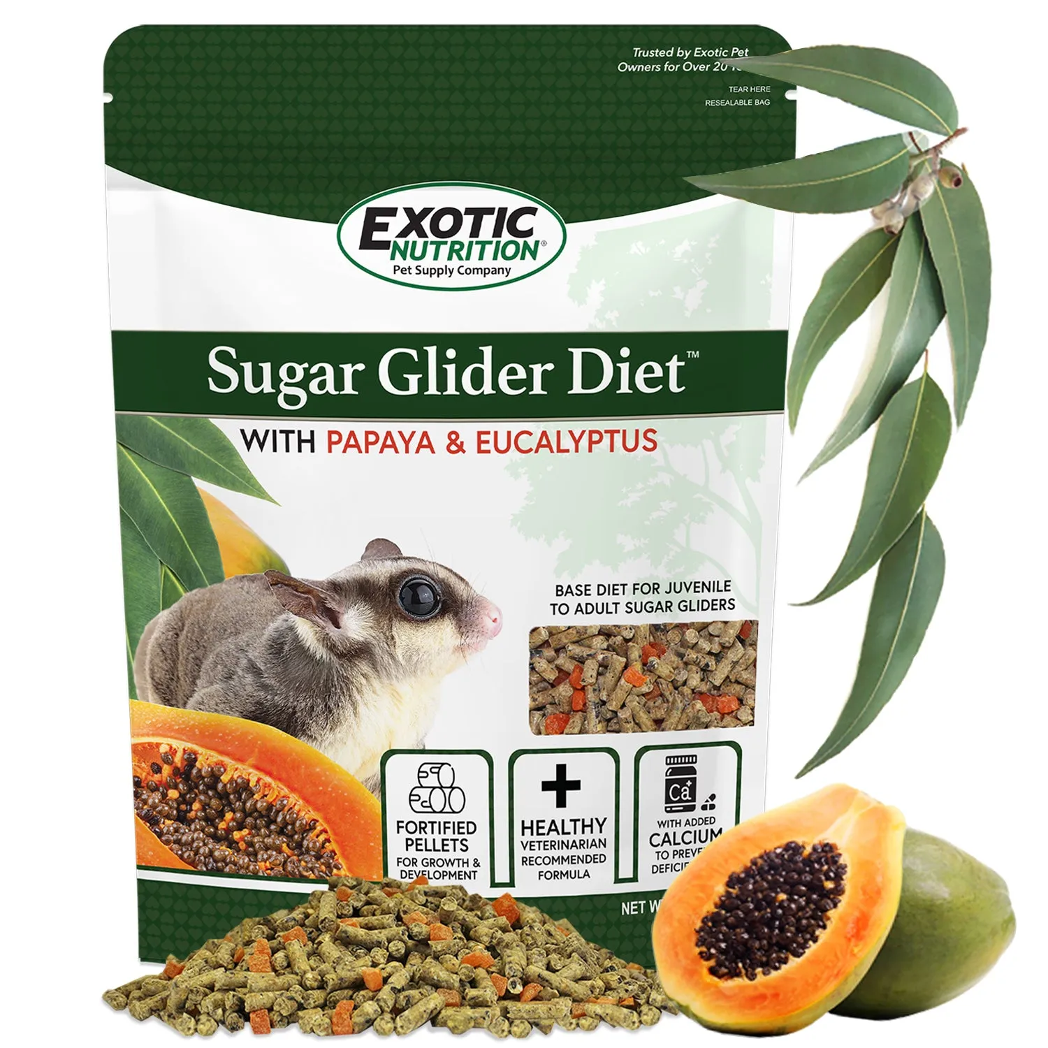 Sugar Glider Diet with Papaya & Eucalyptus Sugar Glider Food