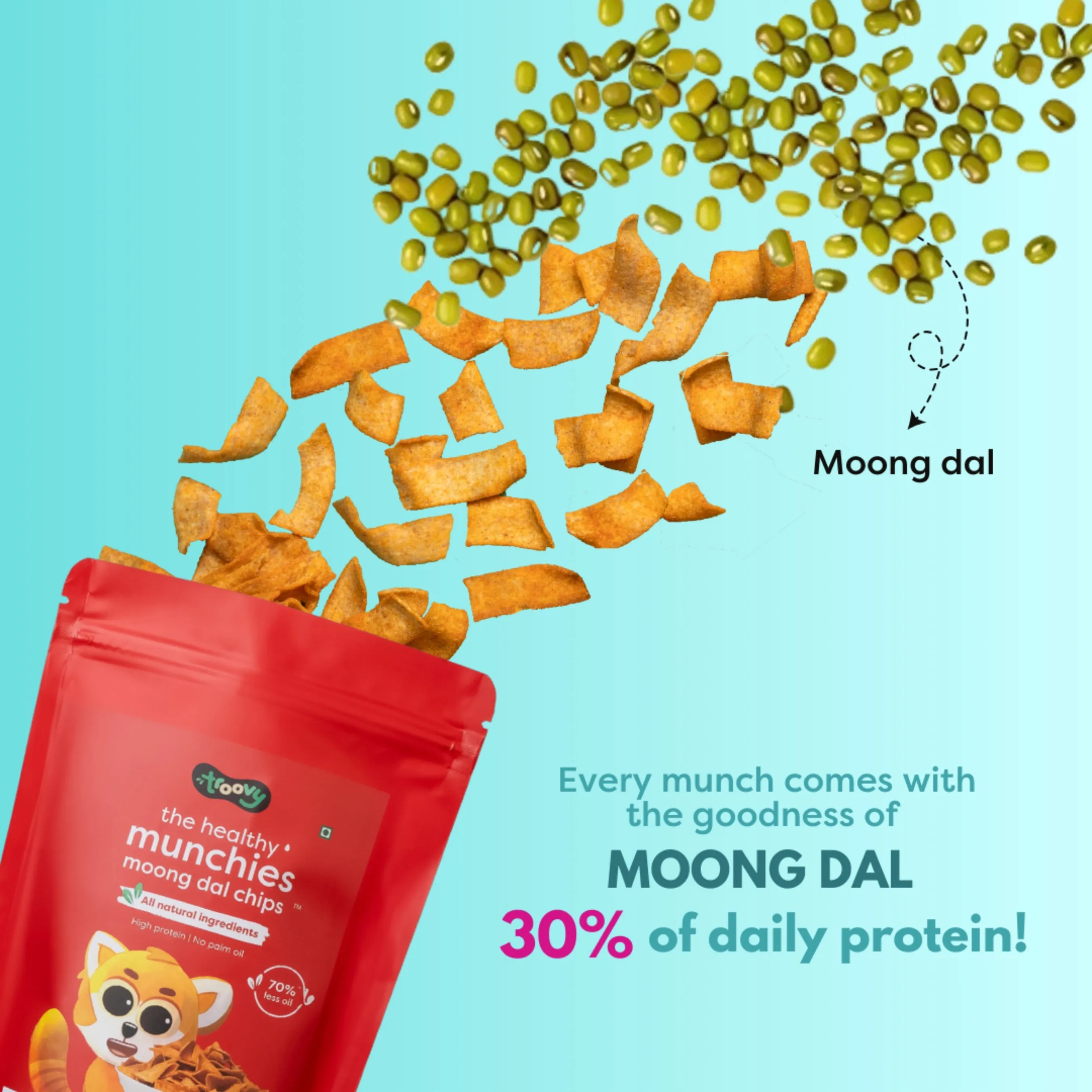 Troovy The Healthy High Protein Moong Dal Munchies