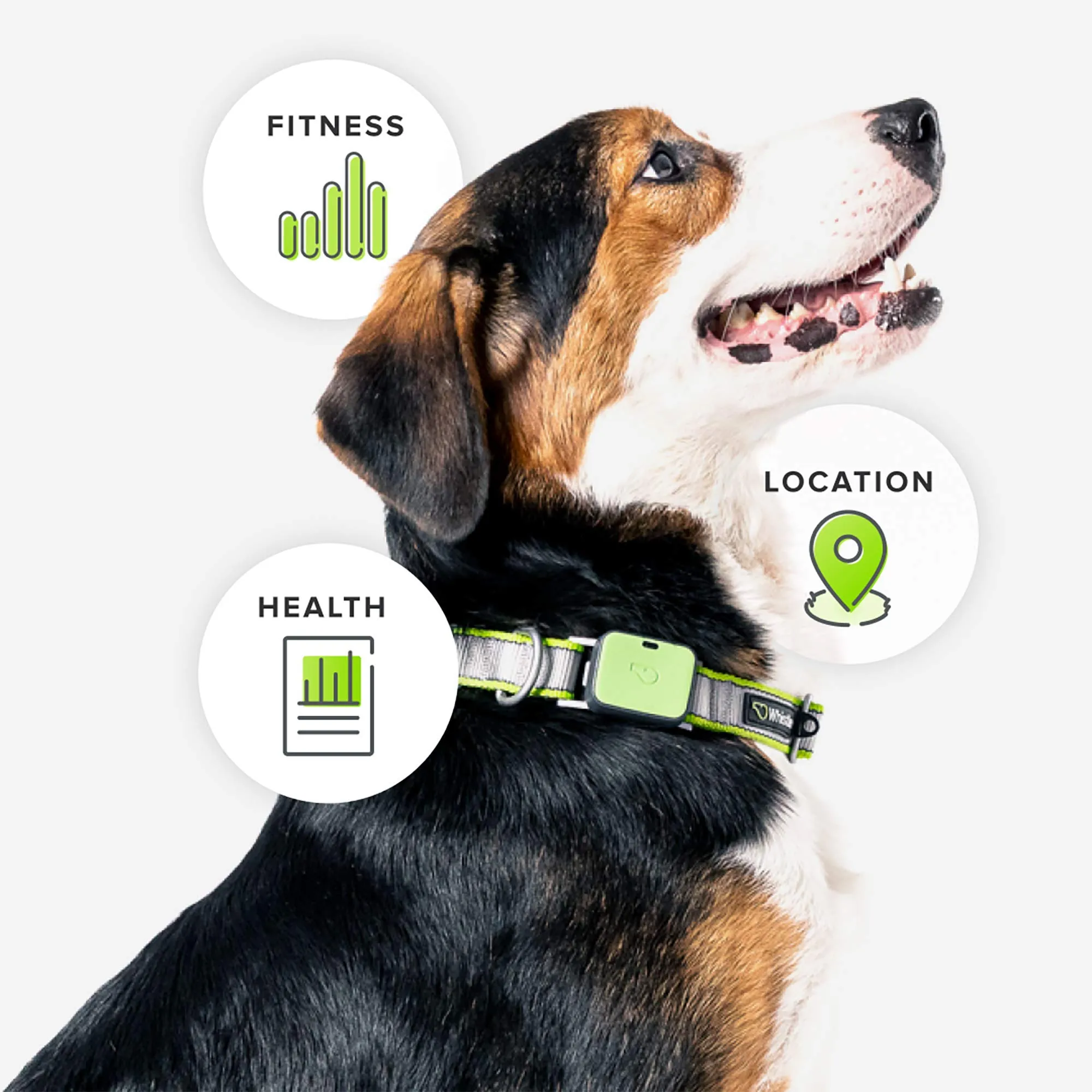 Ultimate Health & Location Tracker for Pets - Grey