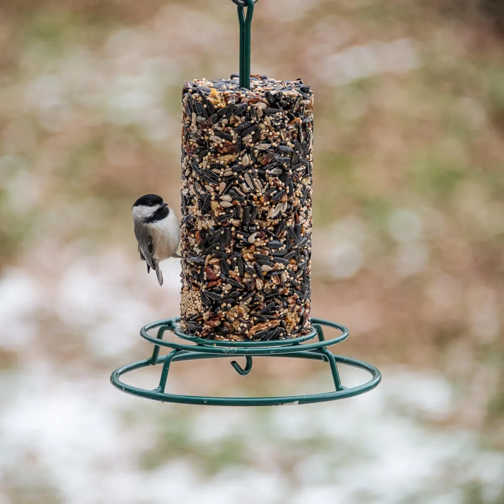 Wild Bird Feast Cylinder